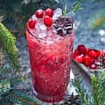 Cranberry juniper_Erwin