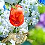 Sangria_Erwin