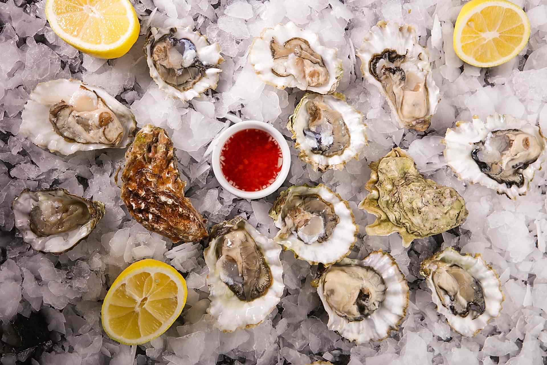 ERWIN.RMO_OYSTERS 70R7