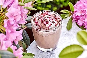 ERWIN_Frappuchino1