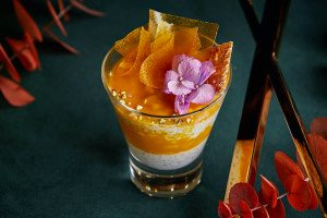 ERWIN_Chia-mango_6