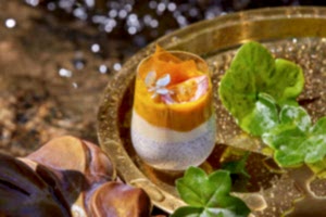 Chia s mango i marakyia_erwin (4)