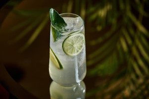 Erwin_GinTonic